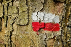 75-Jahre-Freiheit-23