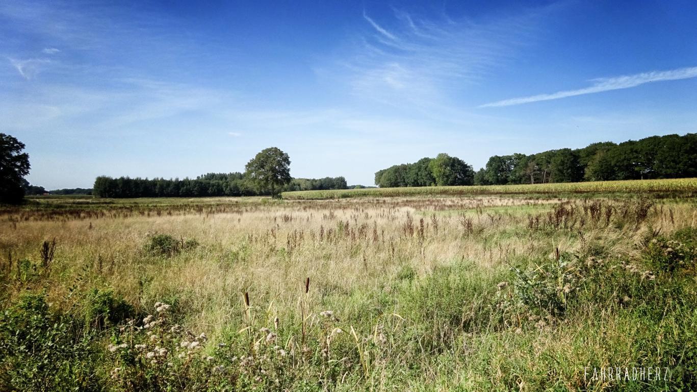 Achterhoek-29