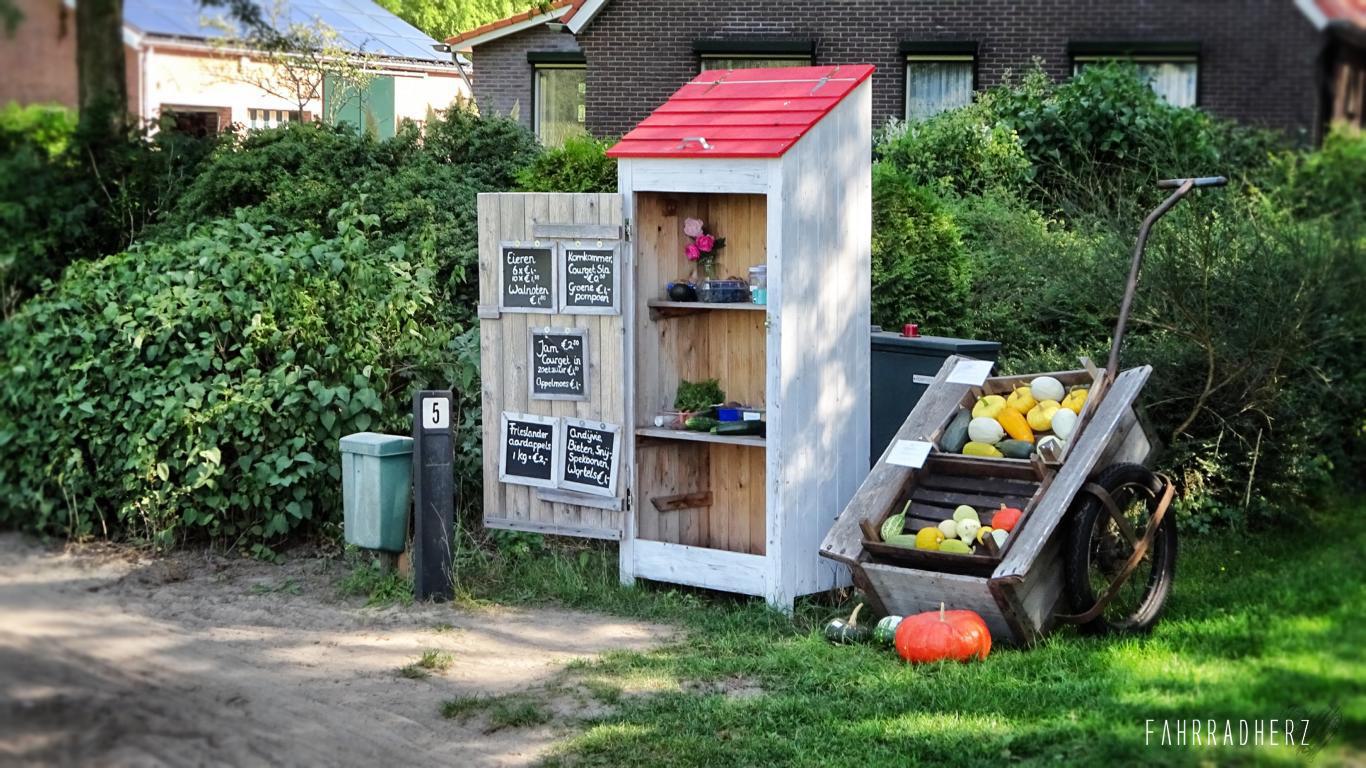 Achterhoek-7