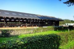 Achterhoek-20