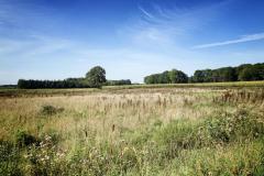 Achterhoek-29