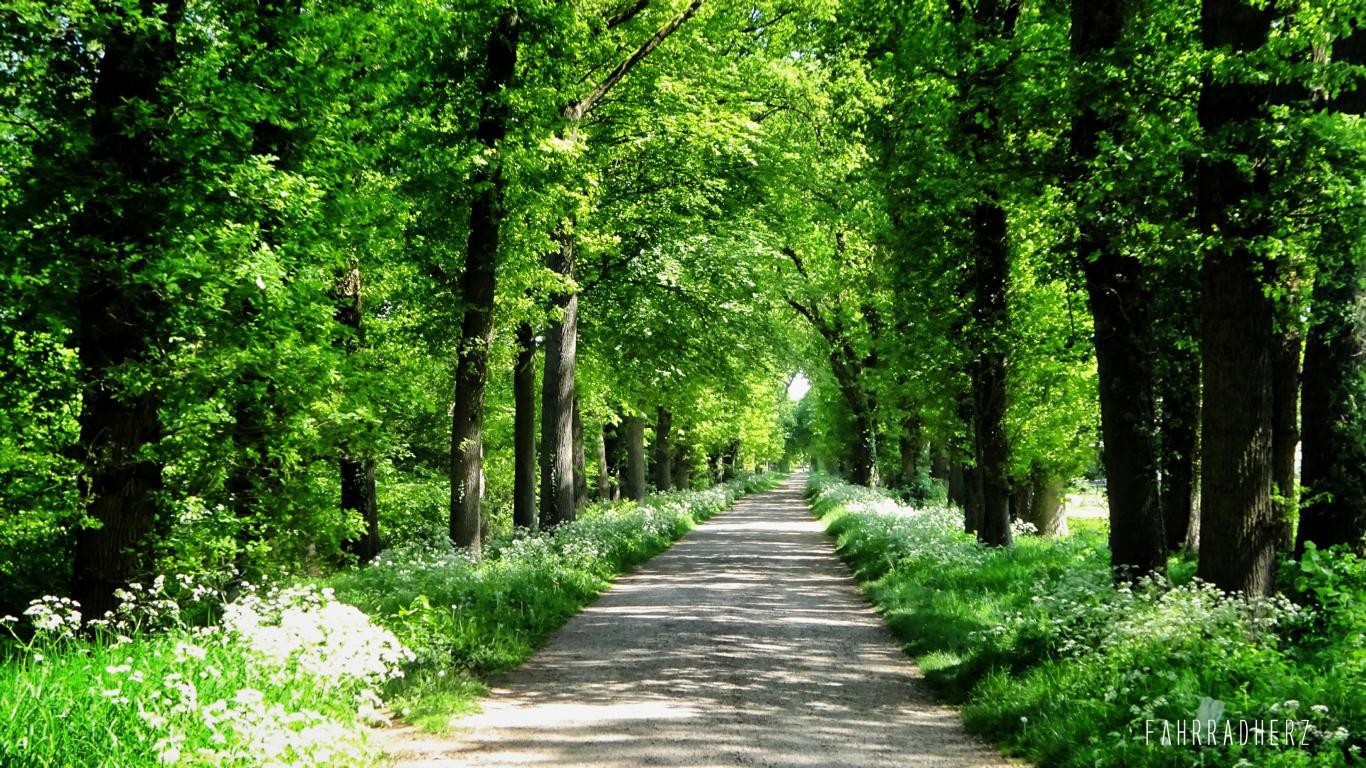Achterhoek