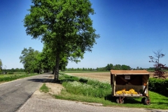 Achterhoek