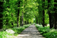 Achterhoek