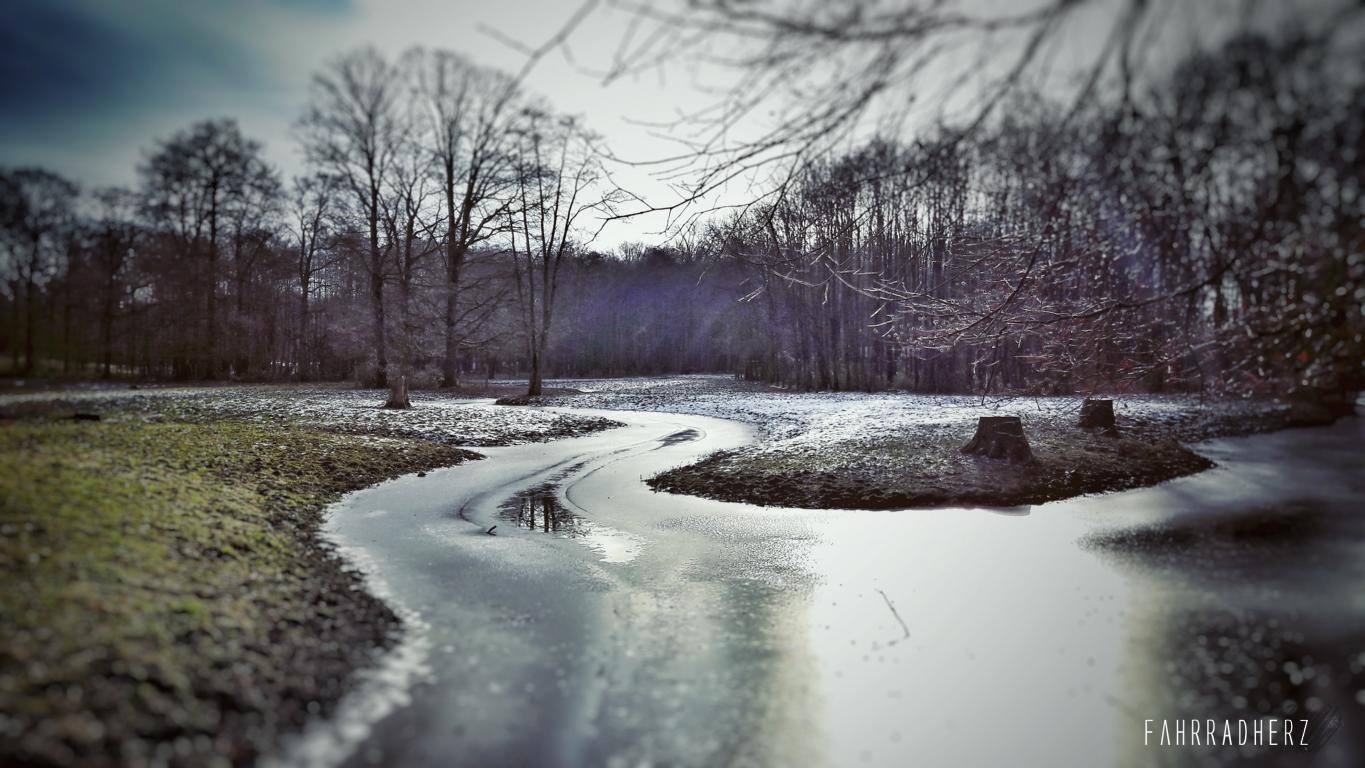 20170128_113149-01