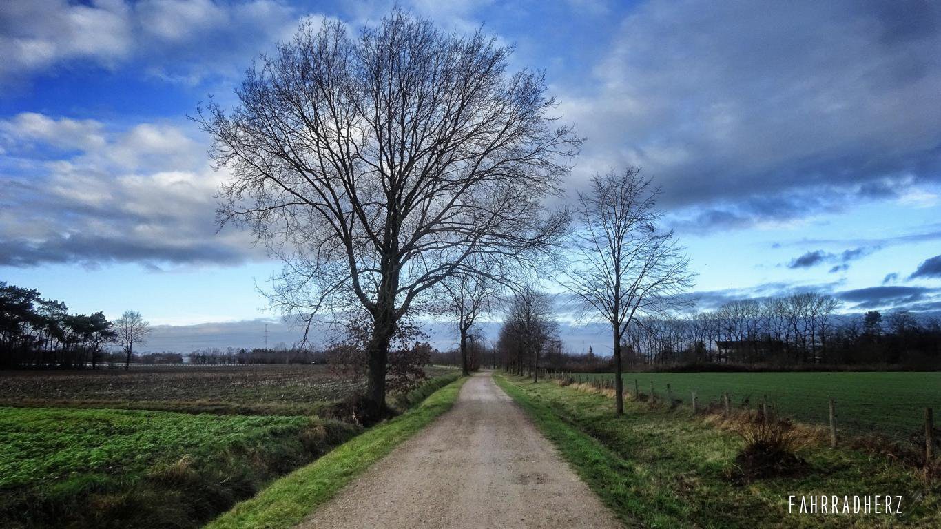 Tour Belgien Fietsen door het water