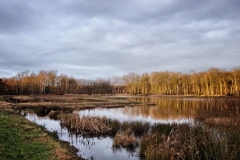 Tour Belgien Fietsen door het water