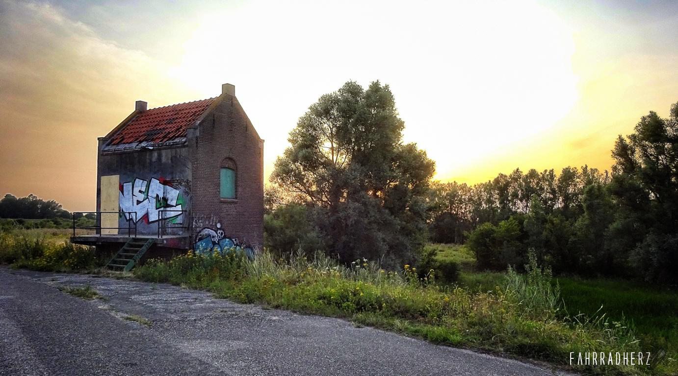 DSC03706_Snapseed