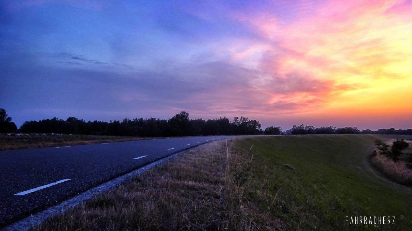 DSC03784_Snapseed