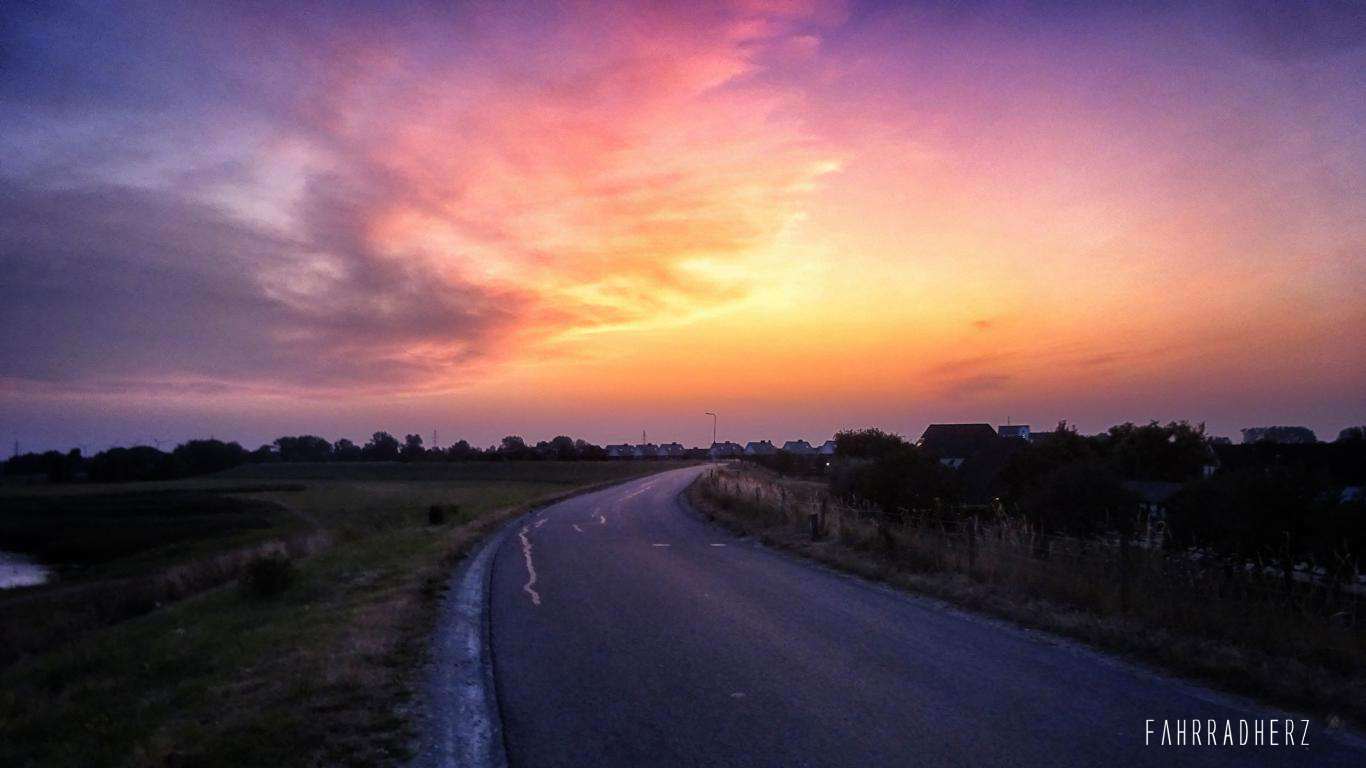 DSC03788_Snapseed