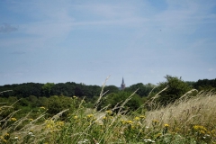 DSC05710-01
