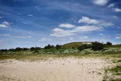 DSC05737-01