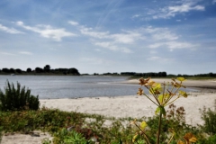 DSC05738-01