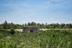 DSC05748-01