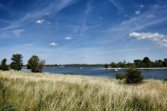 DSC05754-01
