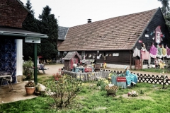 DSC00993-01