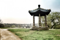 DSC01031-01