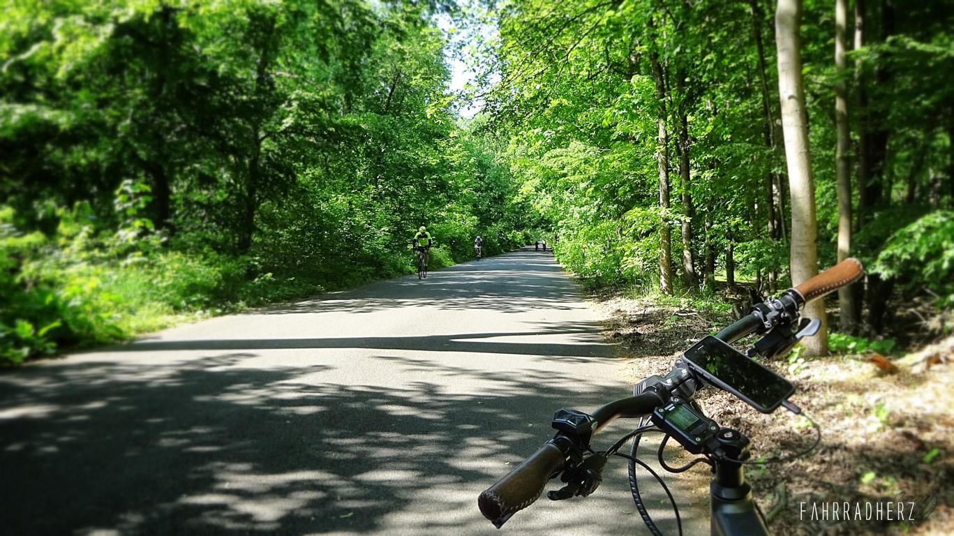 Radschnellweg Krone