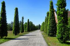 park