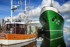 Bremerhaven-101