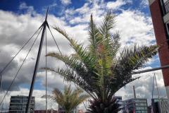 Bremerhaven-13