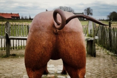 20170227_112908_Snapseed