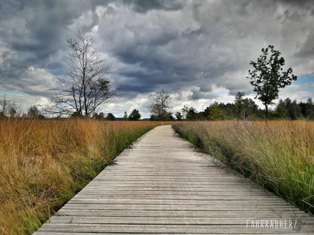 20161003_145401_Richtone(HDR)-01