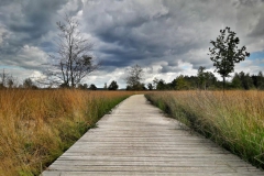 20161003_145401_Richtone(HDR)-01