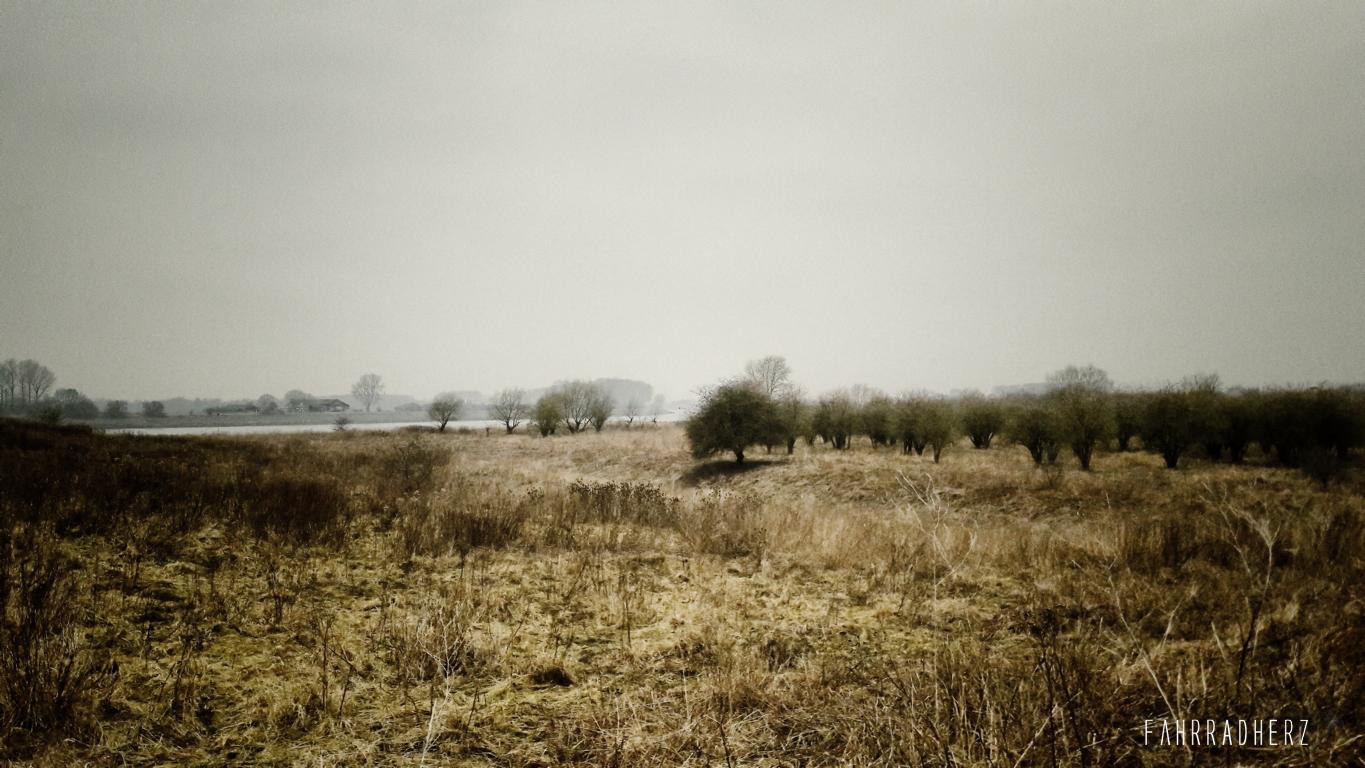 20170209_124844_Snapseed