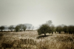 20170209_124853_Snapseed