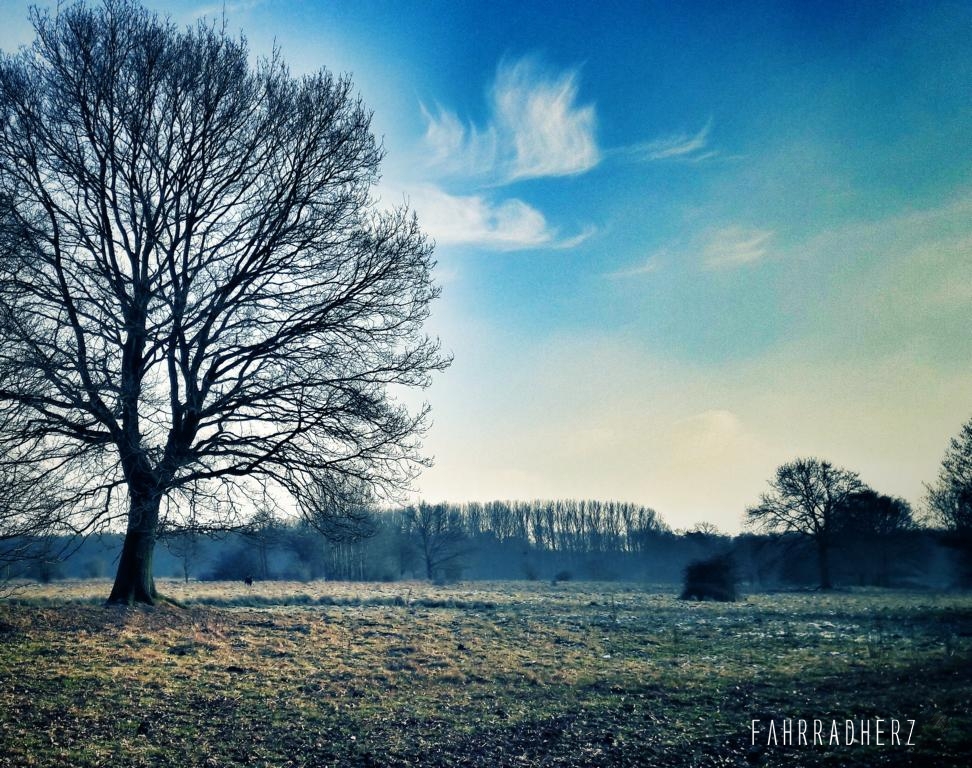 20170117_133222-01