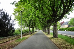 Düsseldorf-15
