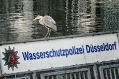 Düsseldorf-20