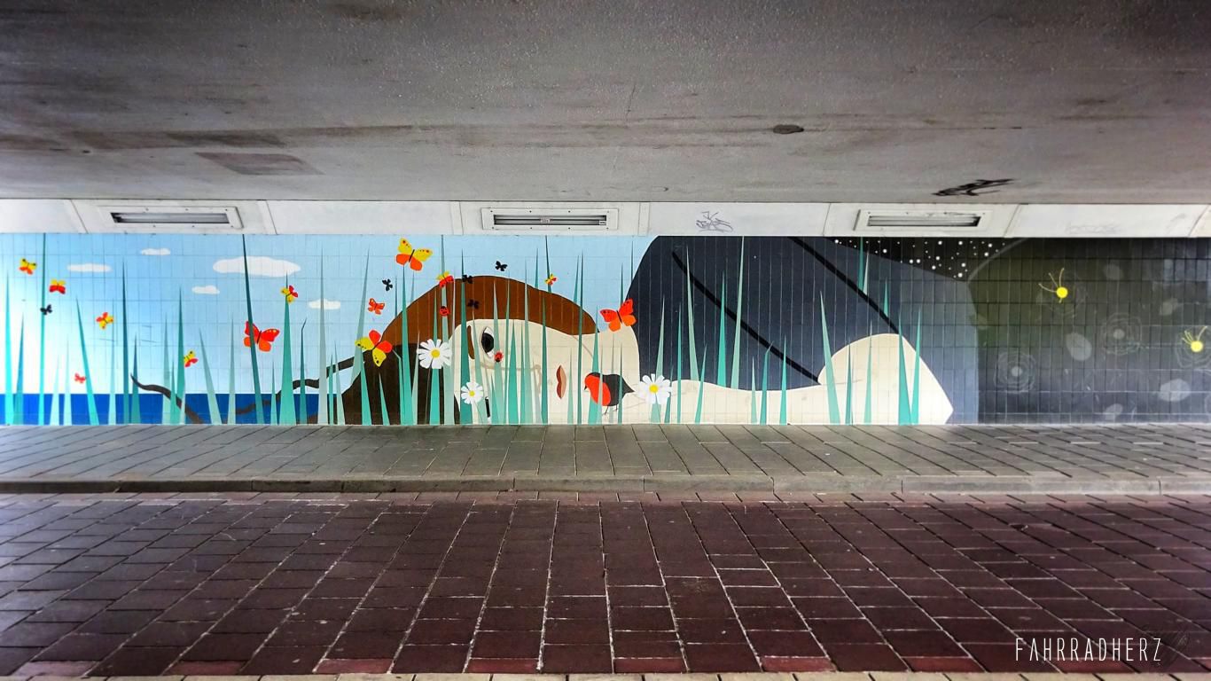 Fahrradtour durch Eindhoven