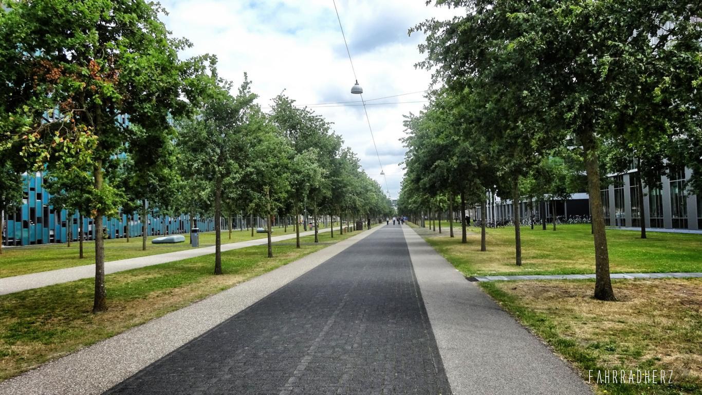 Fahrradtour durch Eindhoven