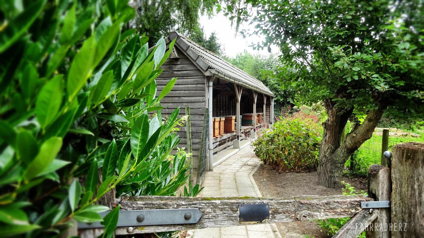 Fahrradtour durch Eindhoven