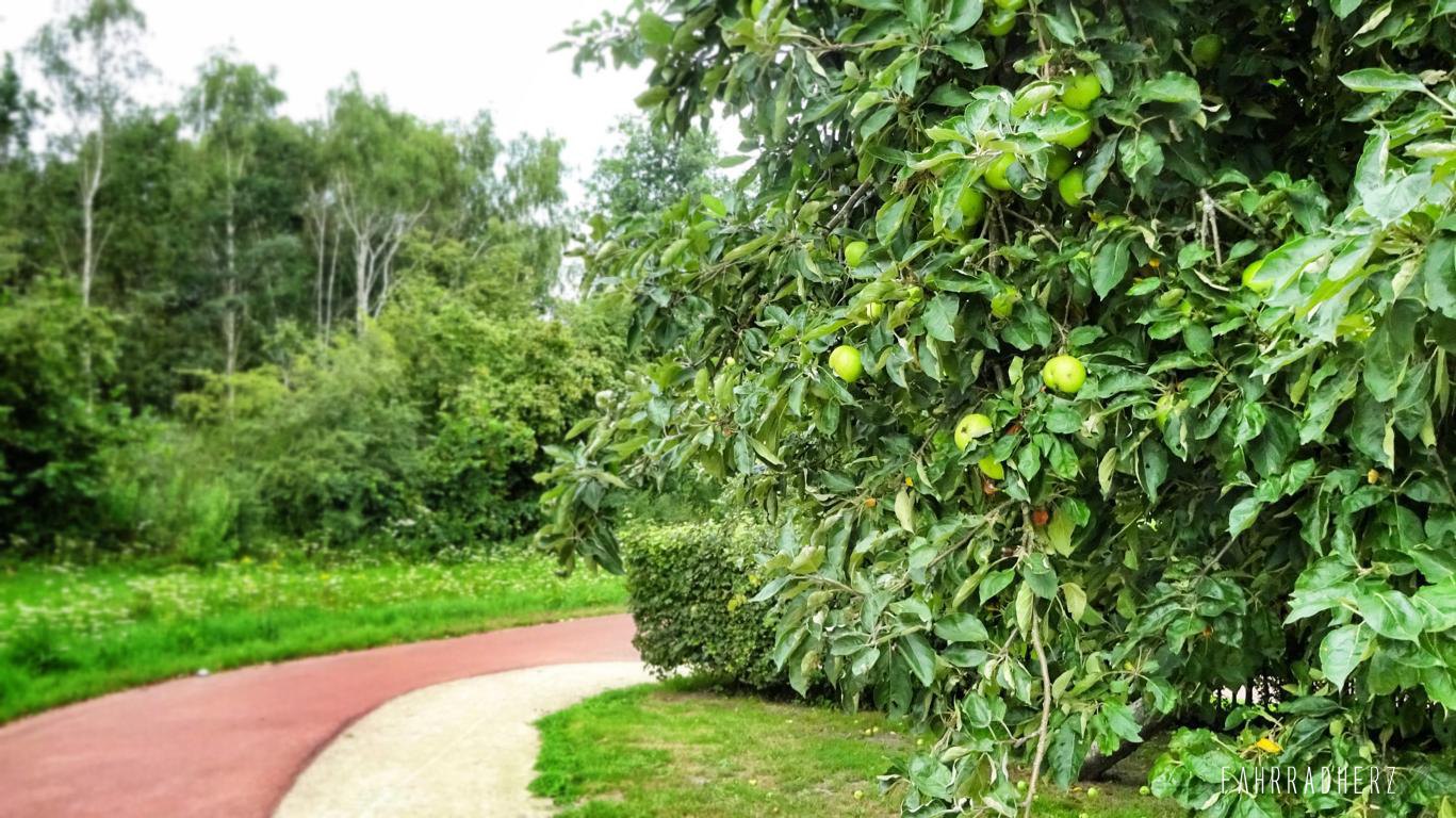 Fahrradtour durch Eindhoven
