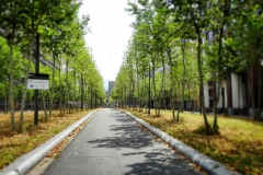 Fahrradtour durch Eindhoven