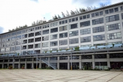 Fahrradtour durch Eindhoven