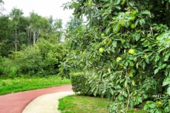 Fahrradtour durch Eindhoven