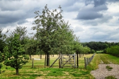 Fahrradtour durch Eindhoven