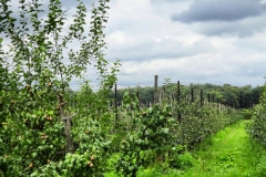 Fahrradtour durch Eindhoven