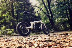 wald-01_Snapseed