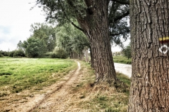 Papa Klein Wanderweg