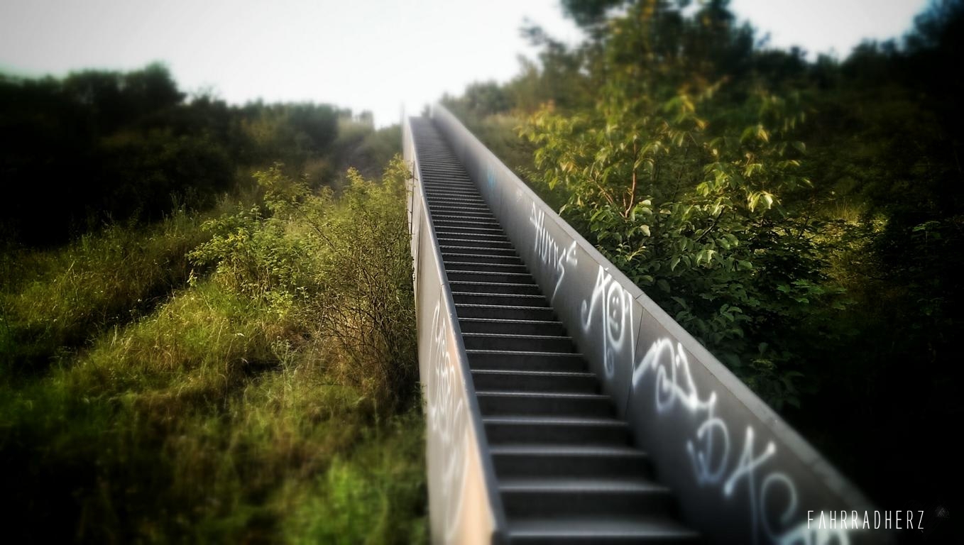 IMAG2102_1
