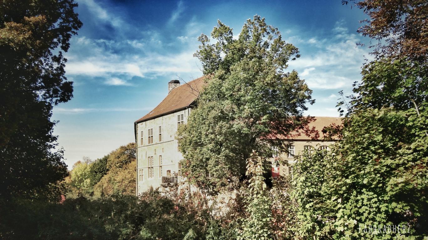 DSC07851-01