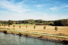 DSC07844-01