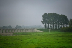 DSC00746-01