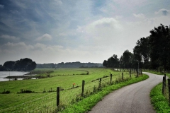 DSC00764-01