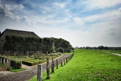 DSC00773-01